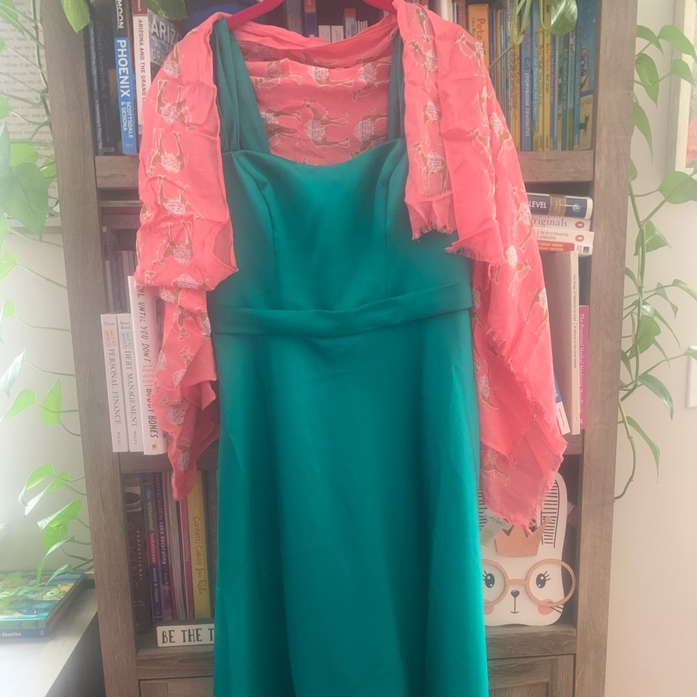 David’s Bridal Bridesmaid/Cocktail Dress - Sz 6